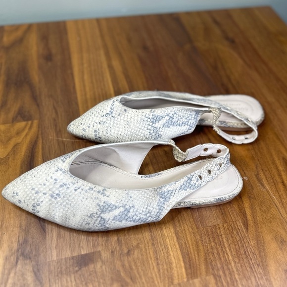 Cole Haan Snakeskin Brown Tan Slide Work Mules 9.5 - Picture 1 of 7